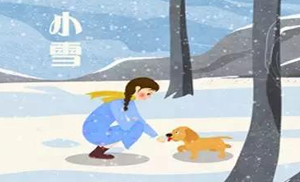 安氏亞森板材：小雪丨花開天下暖，葉落天下寒